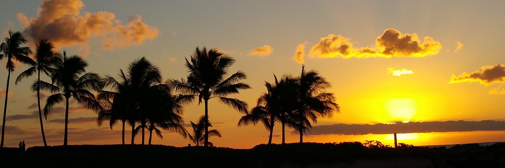 Sunset at a beach with palm trees